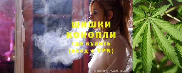 ПСИЛОЦИБИНОВЫЕ ГРИБЫ Арсеньев