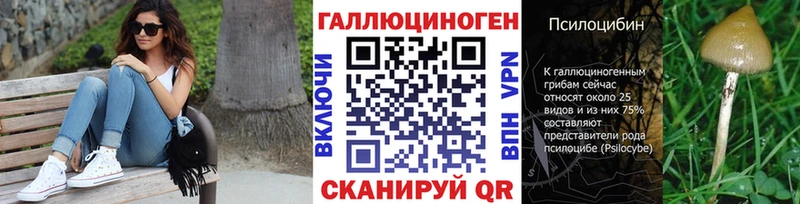 сколько стоит  Городище  Псилоцибиновые грибы Magic Shrooms 