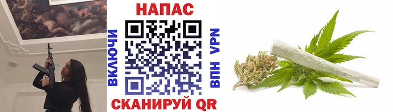 Марихуана план  Городище 